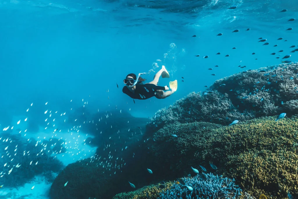 Great Barrier Reef Trip