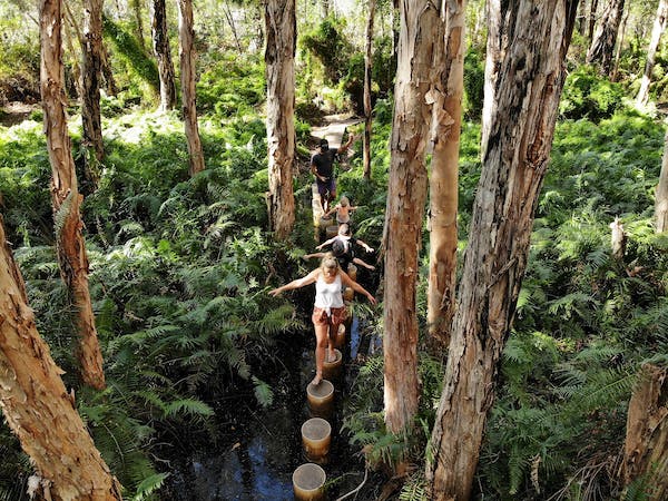 Paperbark Forest Walk
